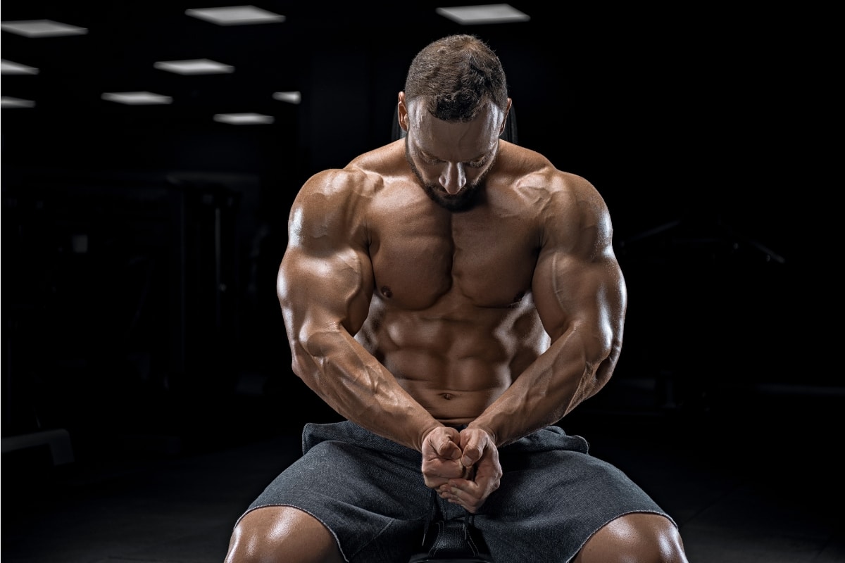 The Most Important Muscles for Bodybuilding