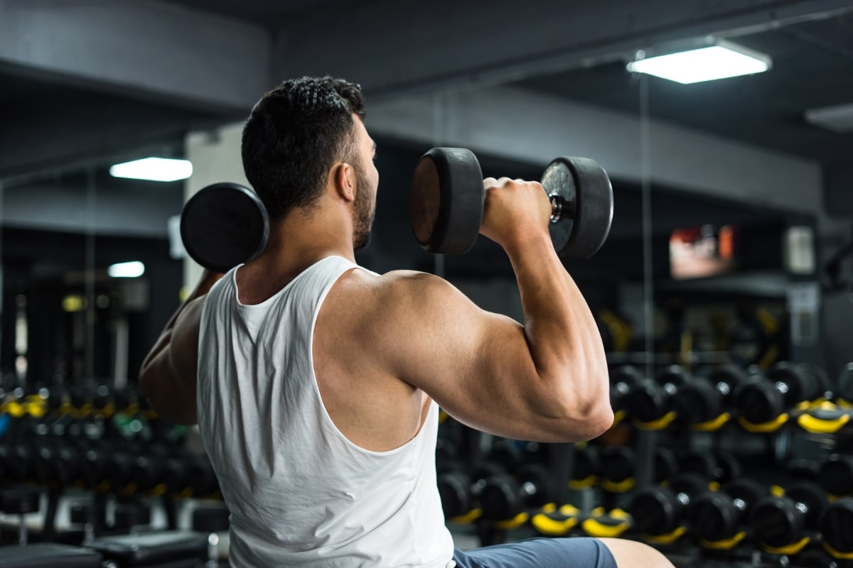Building Shoulder Muscle Mass Through Bodybuilding Workouts