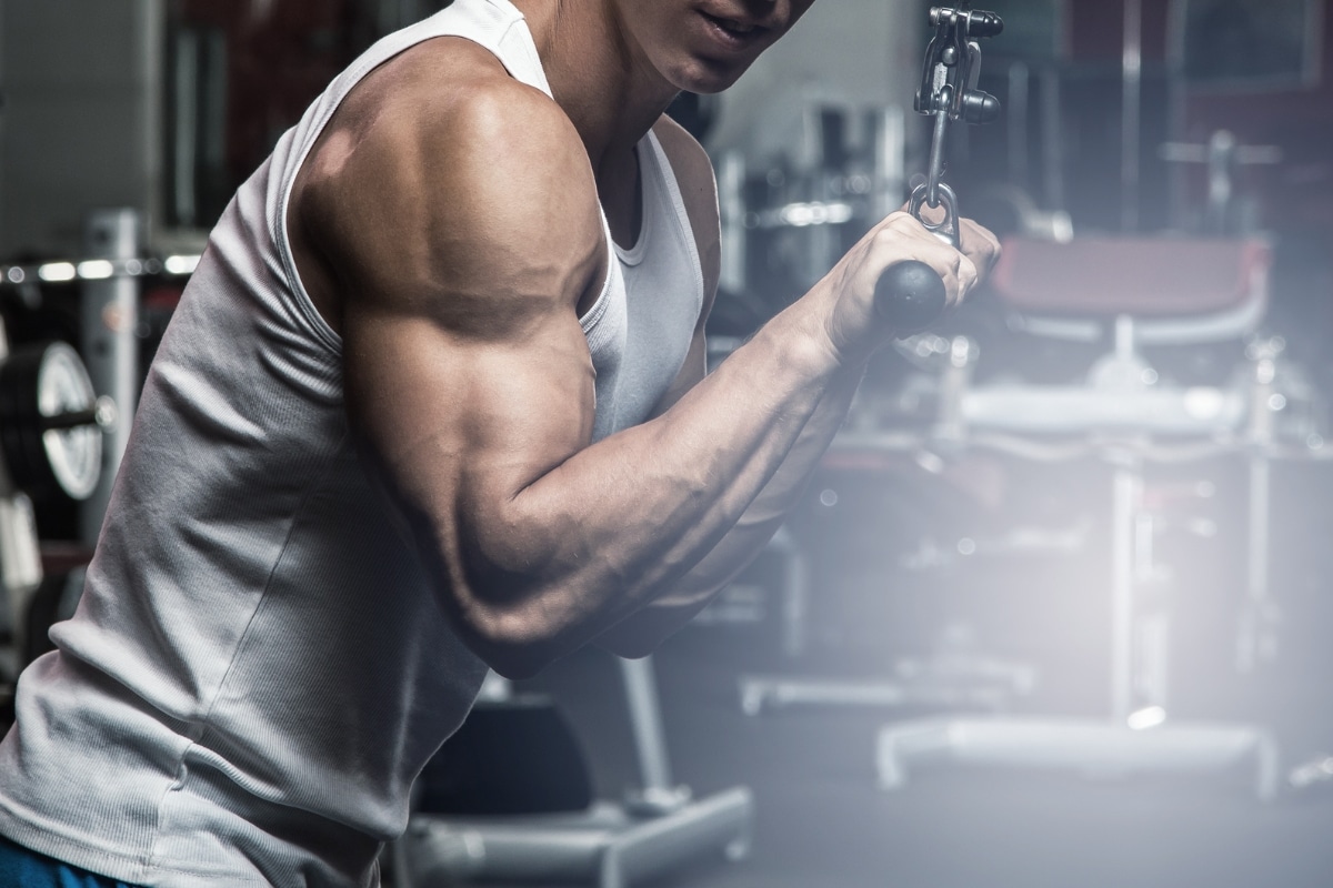 Get Ready for Bigger Arms with Lateral Head Tricep Exercises