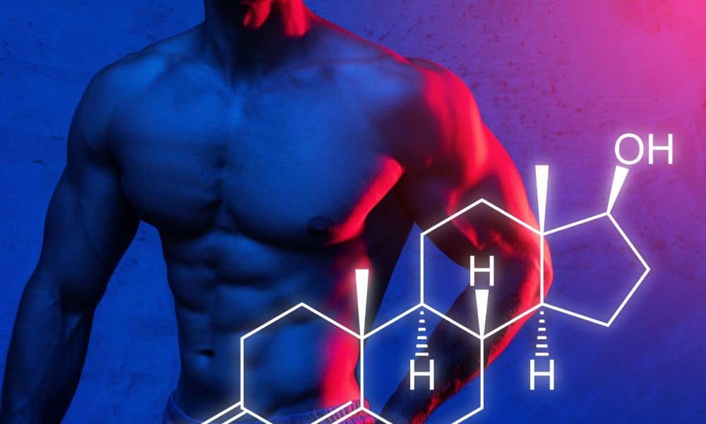 HGH and Testosterone - They Tell the Body to Build Muscle