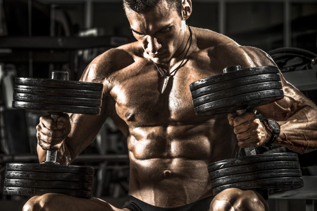The Ultimate Guide to a Building Muscle Workout