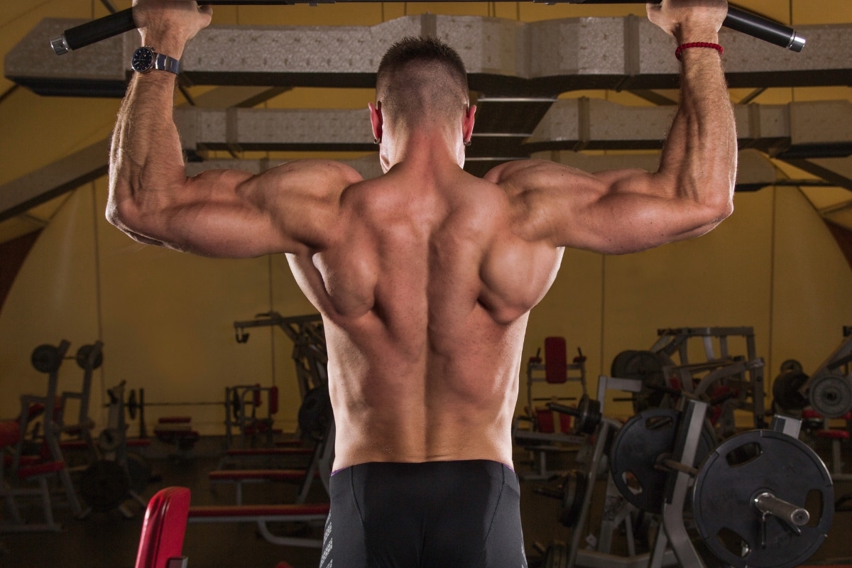 Unlocking the Secrets of Back Muscle Anatomy for Bodybuilding