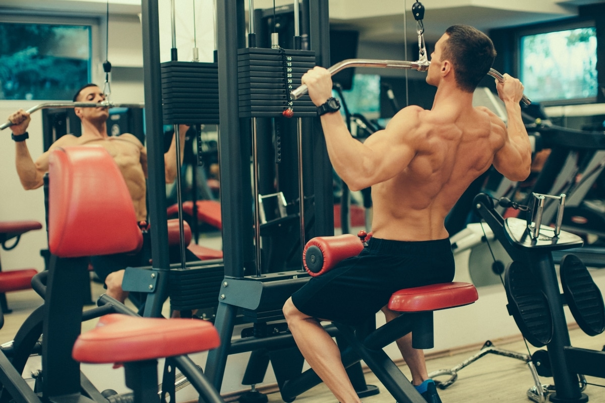 Back Workouts - Top 5 Exercises to Add for Bigger Muscles