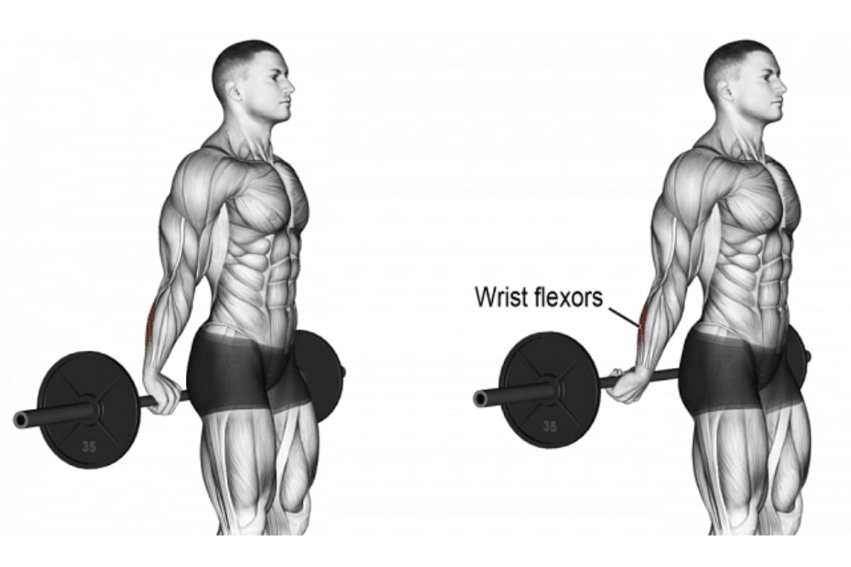 Build Strengthen with the Standing Behind Back Barbell Wrist Curl