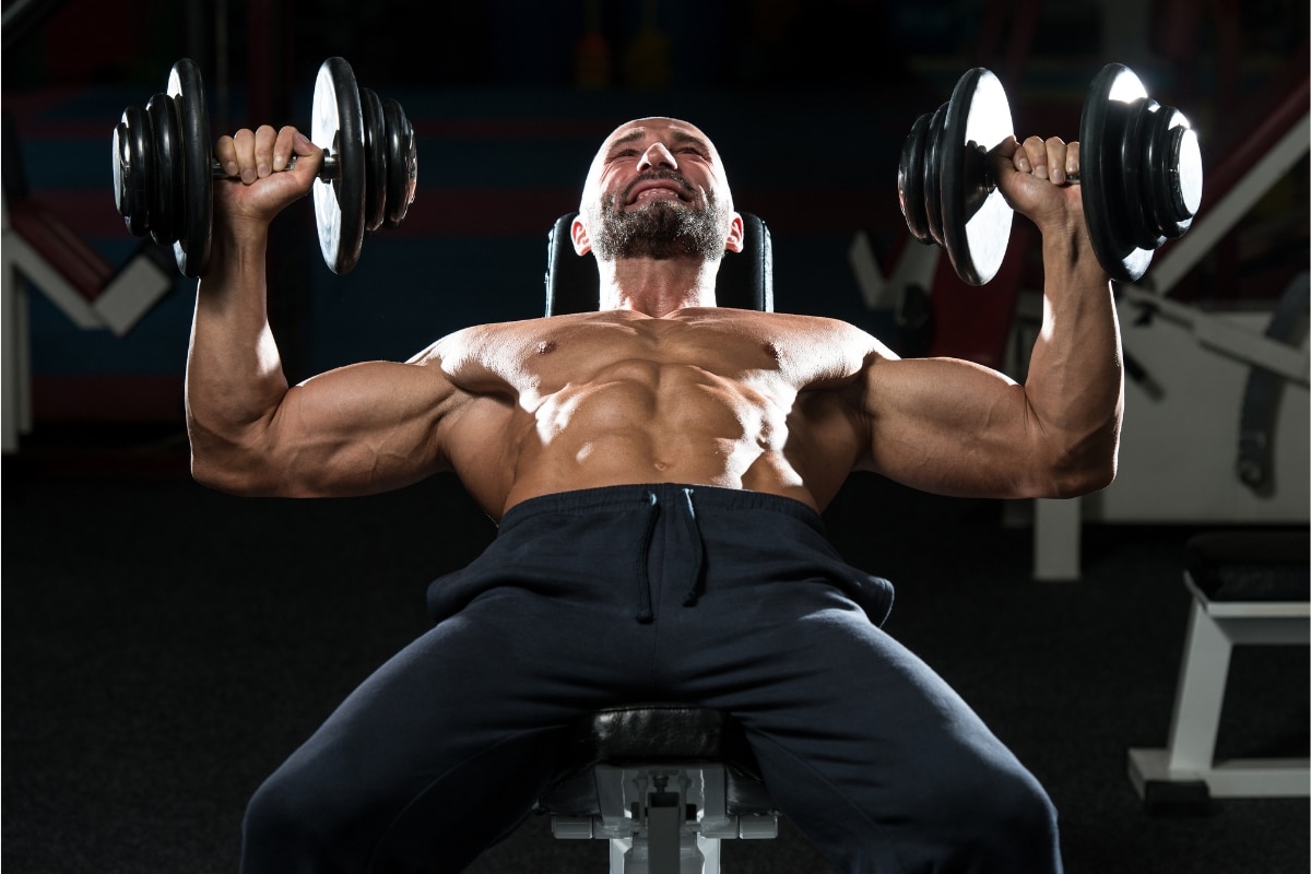 Dumbbell Bench Press Everything You Need to Know
