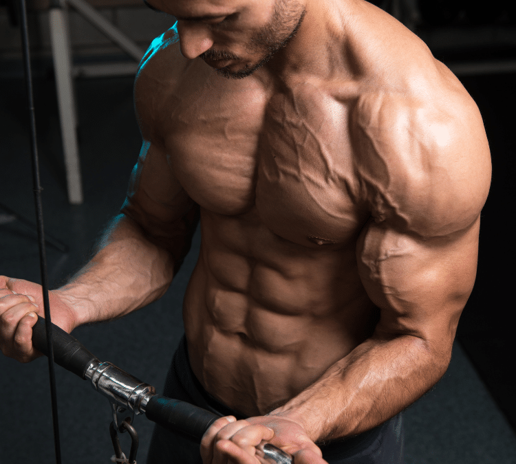 bicep, curl, man, bodybuilder, cable, machine