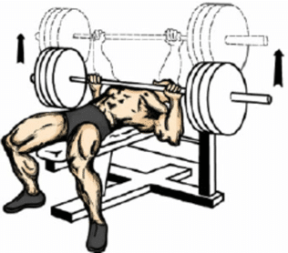 big chest exercise bench press