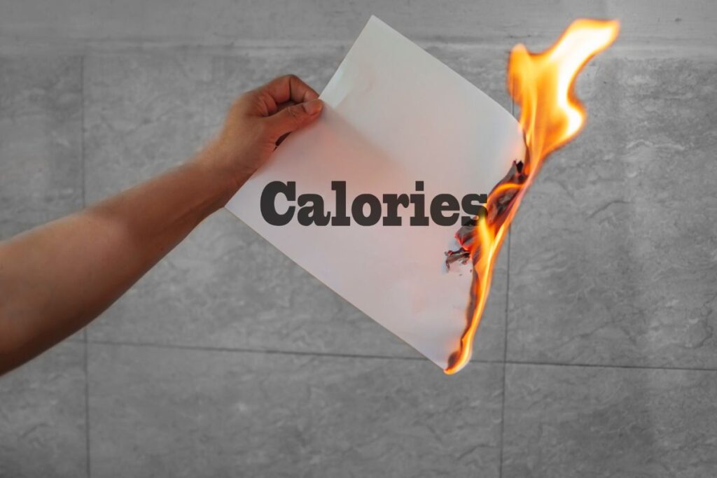 Why is Daily Calorie Turnover Important?
