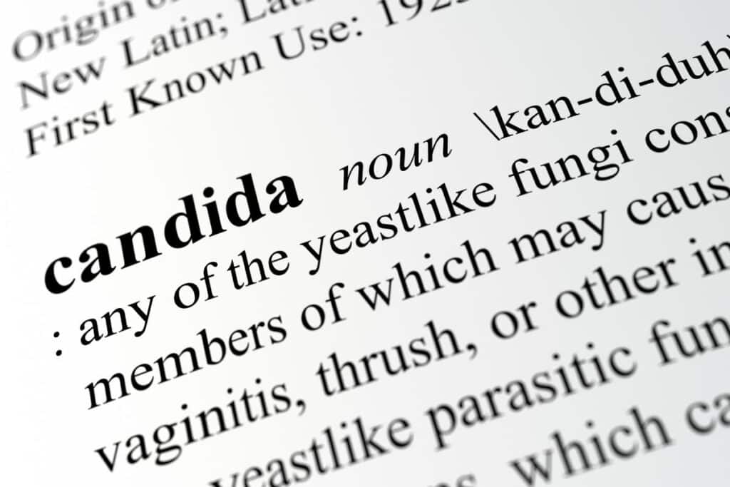 Candida Overgrowth: Its Impact on Bodybuilding, Health, and Diet