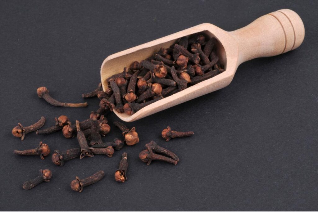 Clove building muscle and supporting blood health