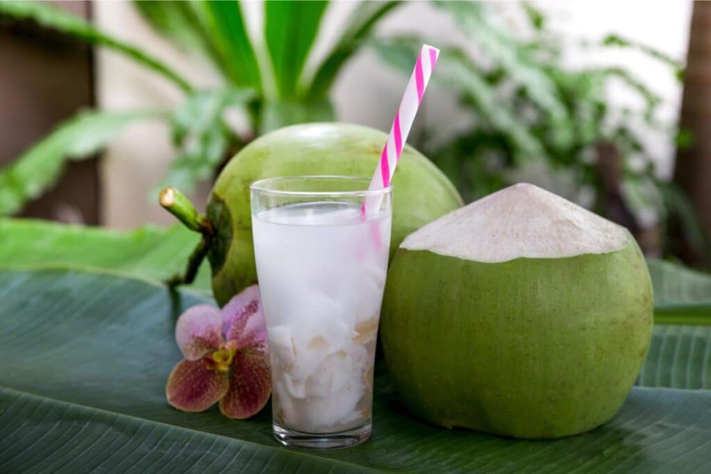 Coconut Water - Nectar of Wellness Unveiling the Fitness Benefits