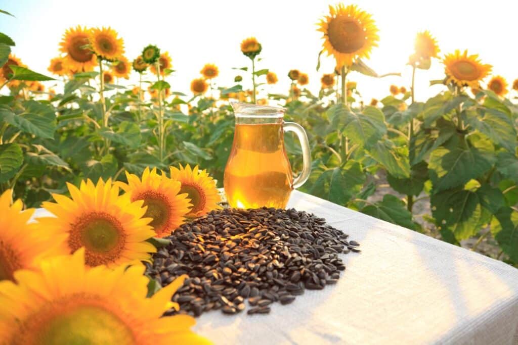 Sunflower Seeds - Harnessing Nature's Power for Bodybuilding