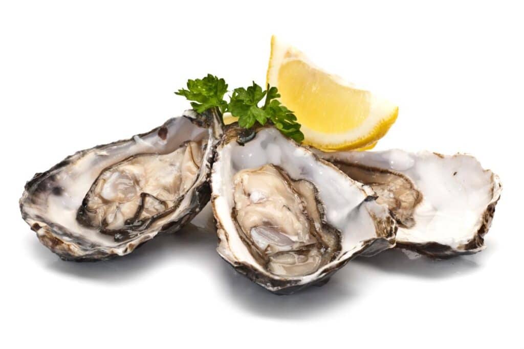 Boosting Testosterone, Muscle Building, and Sexual Health with Oysters