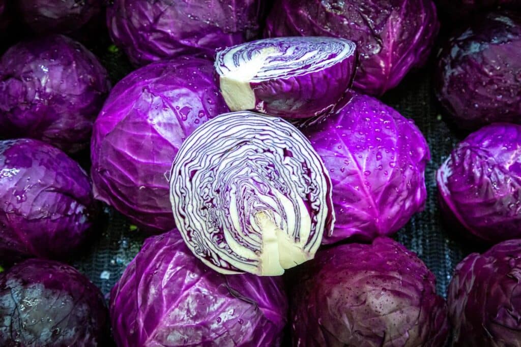 Cabbage: The Secret Weapon for Bodybuilders' Success