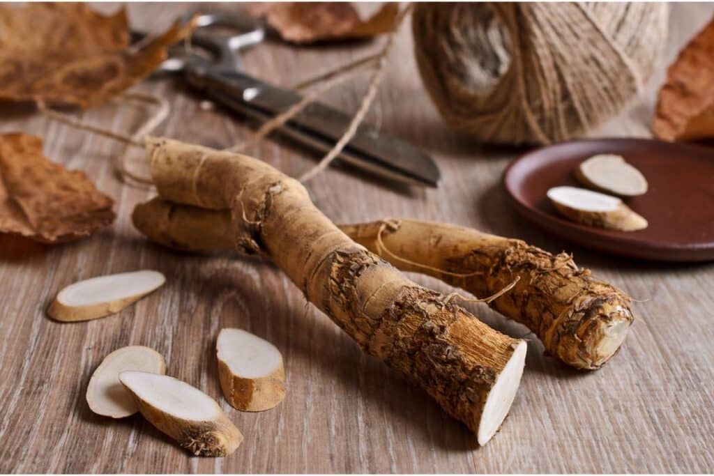 Harnessing the Power of Horseradish for Your Health and Fitness benefits