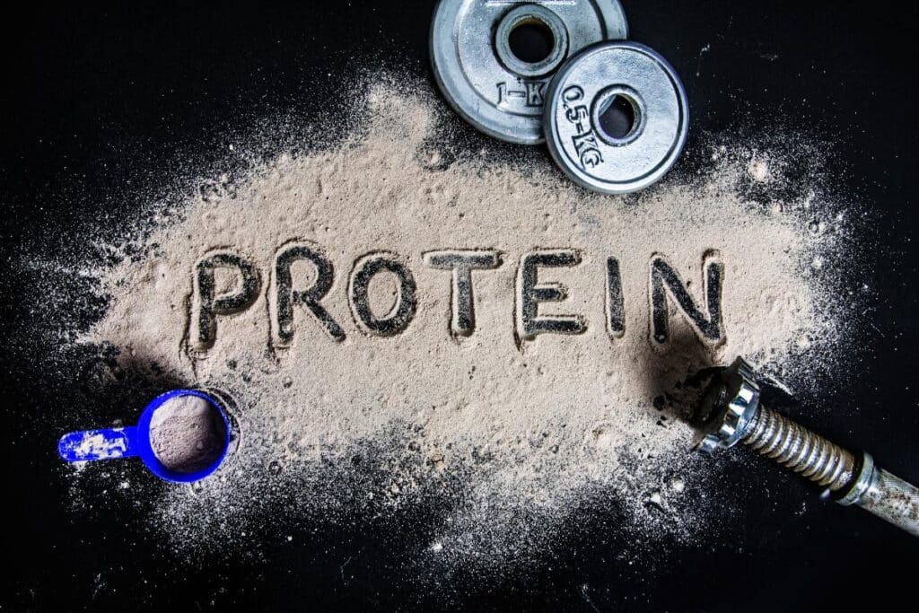 muscle, protein turnover, protein synthesis, protein powder, weights