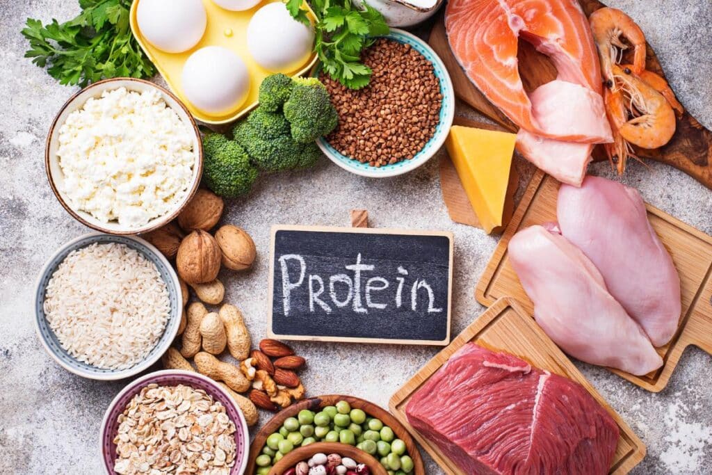 Protein Diet - Mike Mentzer macro ratio