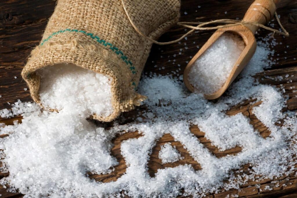 Craving Salt on Your Fat Loss Journey?