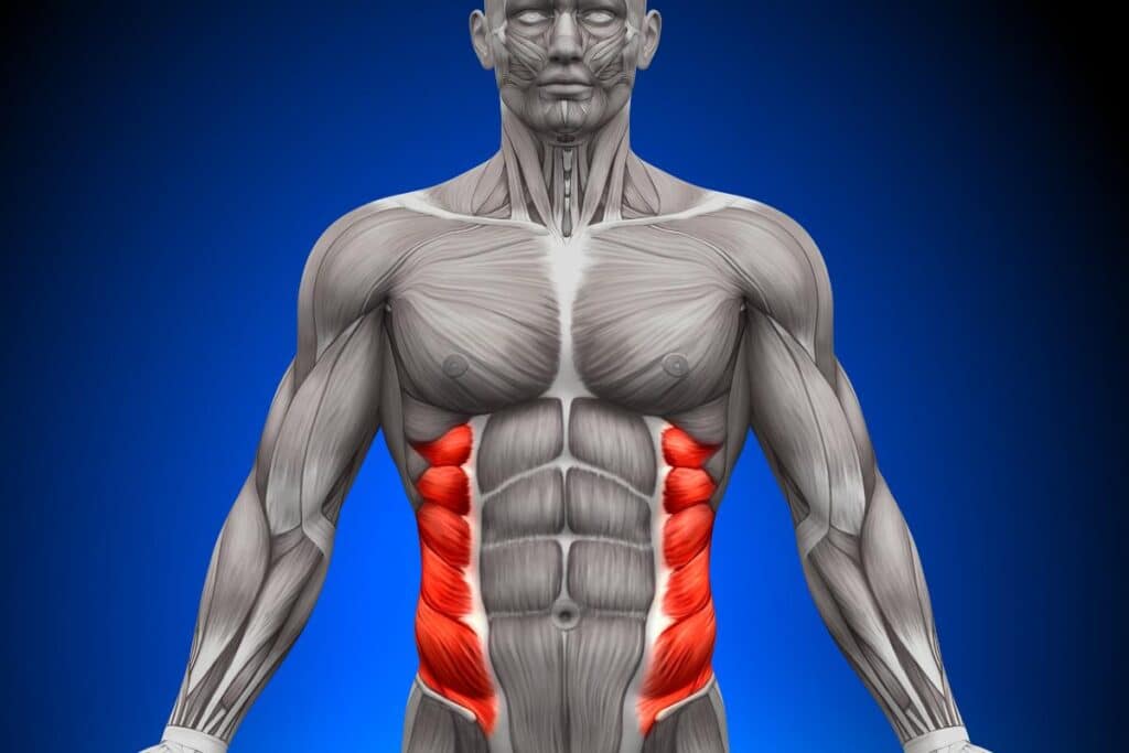 Obliques: Isolation Lifts for Fitness Motivation