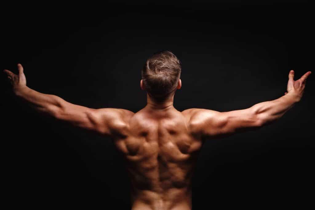 muscles lat raises develop and how it affects overall back develop