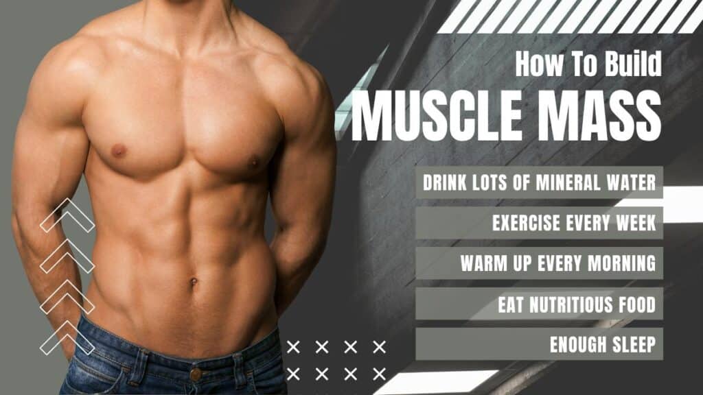 Most effective meal plan for muscle building
