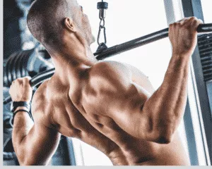 Back Muscles - A List of the Top 5 Cable Workouts